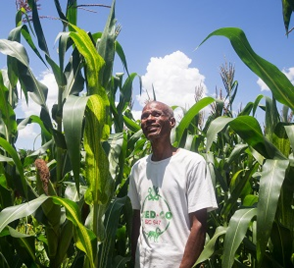 Climate-smart agriculture makes economic sense