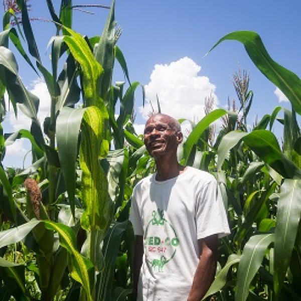 Climate-smart agriculture makes economic sense