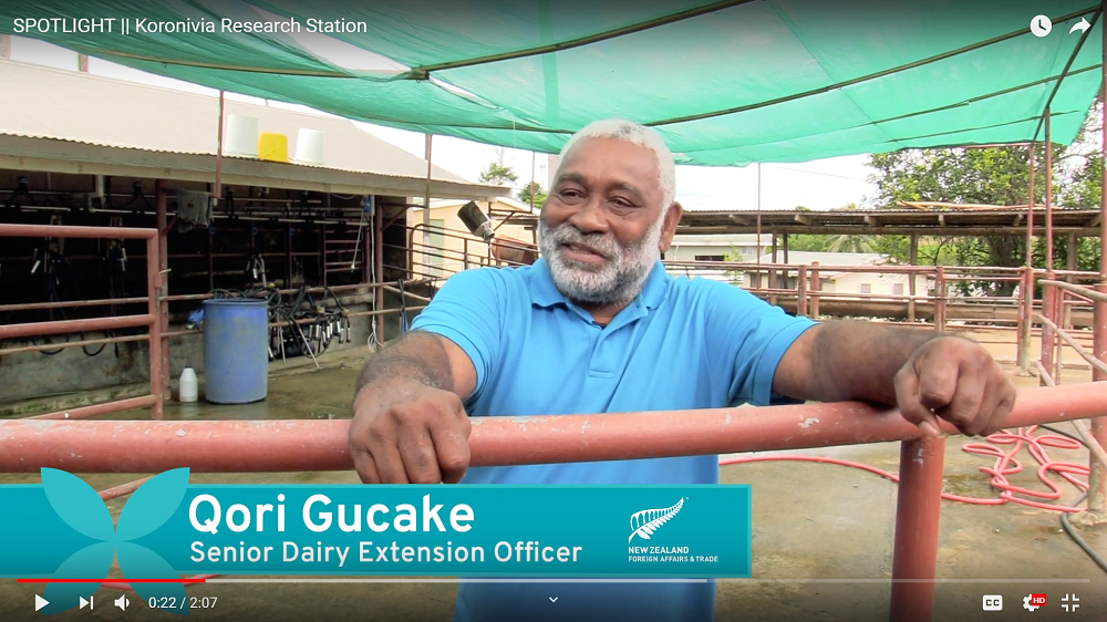Check out this great video about the demonstration dairy farm established at Koronivia Research Station in Suva as part of the Fiji Dairy Industry Development Initiative