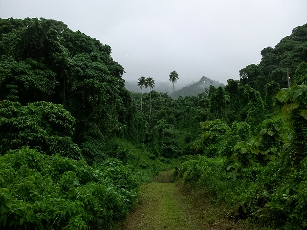 Cook Islands secures funding to help front-foot climate change