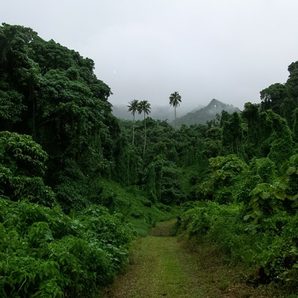 Cook Islands secures funding to help front-foot climate change